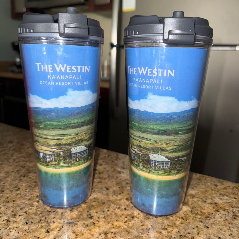 Selling 2 Endless Vacation Cups - Bought April 2025